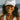 Baseball Hats